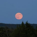 Enchanting Super Blue Moon: Astonishing Photographs