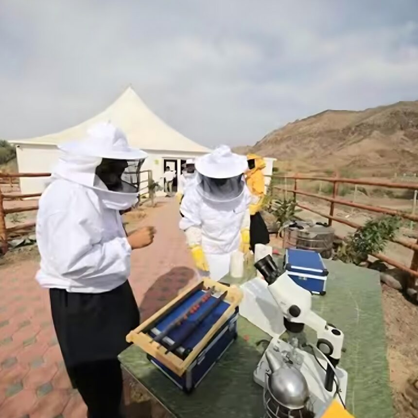 Promoting Bee Discovery at Hatta Honey Festival 2023
