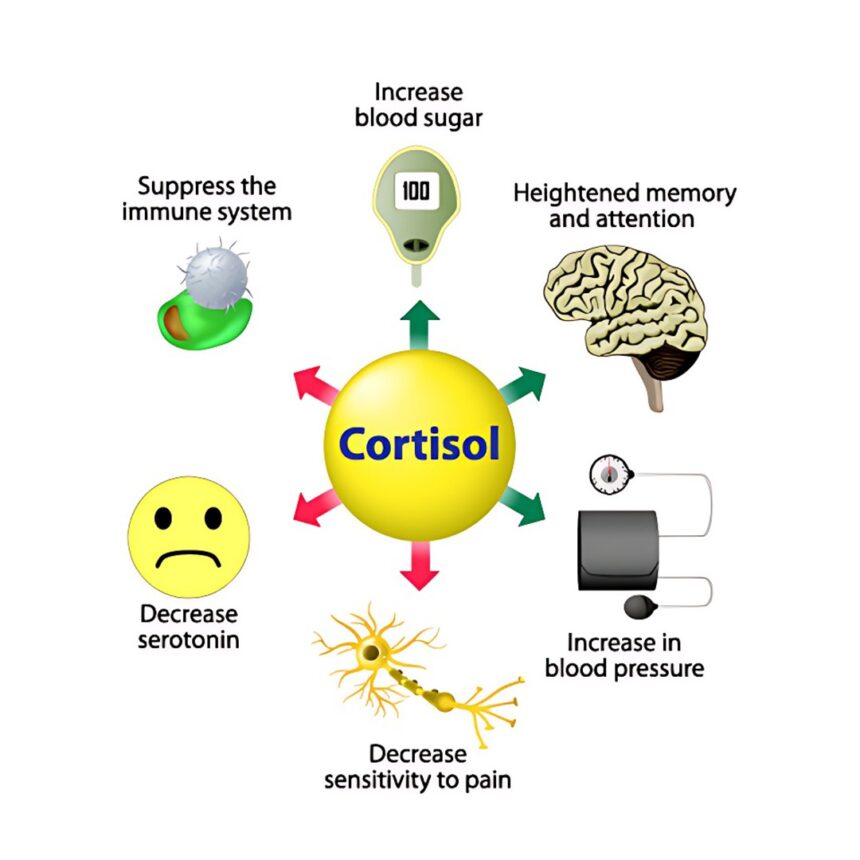Body signals for high stress and cortisol levels