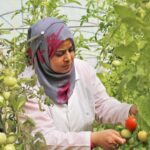 First female farmer of UAE